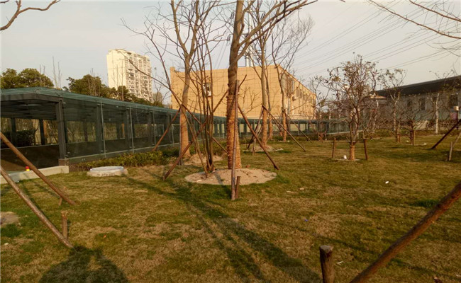 南京少博「品质保障」(图)-园林景观钢结构报价-滁州钢结构